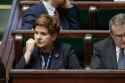 tępeSzydło.jpg