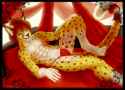 1423796080.chatah_chatahharem.jpg