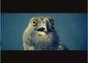 1435952637991.gif
