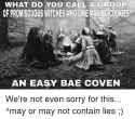 what-do-you-call-a-group-ofpromiscuouswitches-who-like-making-5530018.png