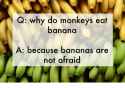 q-why-do-monkeys-eat-banana-a-because-bananas-are-1783329.png