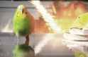 ss+(2016-02-22+at+04.58.04).png