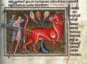 bonnacon_detail_blog.jpg