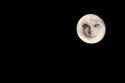 astro_moonface.jpg