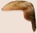 trump-hair.png