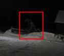 spooky_doggo_zoomed.jpg