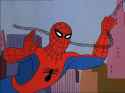 swingingin.jpg