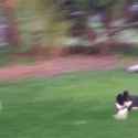 IMG_0412.gif