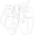 Zangoose227.png
