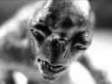 Cave-Troll-Image-by-Kevin-Dooley-588x442.png