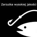 comment_KYfg34XXrJ11vYszwnasglWAFAPzIGi9.jpg
