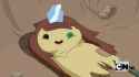 IMG_0077.gif
