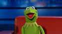 Me right before I pulled out the 45. and started unloading on Ellen D.'s crowd.jpg
