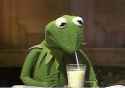 sipping some natural cream.jpg
