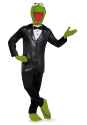 aren't i a snazzy frog.jpg