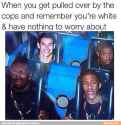 1478394863698.jpg