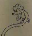 IMAG0063_1.jpg