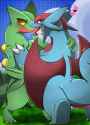 Salamence12.png