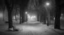 Snowy_night_at_the_park.gif