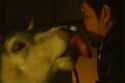 gozu.gif