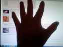 hand4chan.jpg