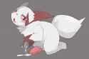 Zangoose17.png