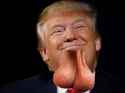 TRANSTRUMP.png