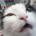 1432786047927.jpg