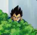 Vegeta.jpg