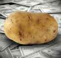 CashPotato3.jpg