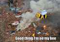 mybee.jpg