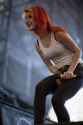 hayley3.jpg
