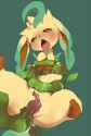 Leafeon16.jpg