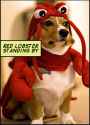 lobter.png