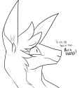paca.png