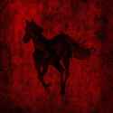 White pony 2.jpg