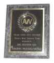 Houston--AVN Award 01.jpg