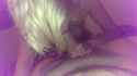 VIDEO0115_0000082106.jpg