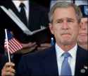 sad_bush2.jpg