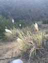 Screen Shot 2016-11-03 at 6.21.55 PM.png