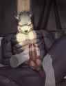 1437491587.raccoon21_크기변환_커터.jpg