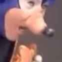 Friccin Puto.jpg