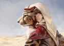 1448983440.nomax_cheetah_portrait.jpg