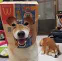 mcpupper.jpg