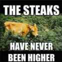 high_steaks.jpg