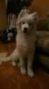 FB_IMG_1478596968376.jpg