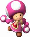 Toadette.png