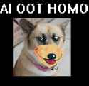 pyllykarhukoira.jpg