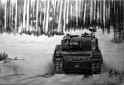 Leopard 2 #6 Edit (resized).jpg
