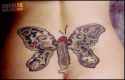 tatto - butterfly-penistattoo-.jpg